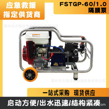 FSTGP-60/1.0ҺĤøߓPˮɭ60/R