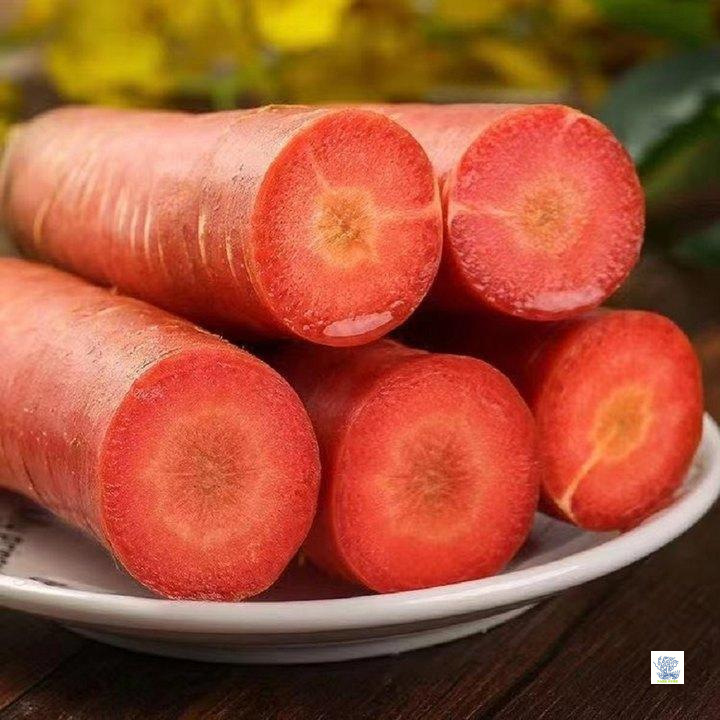 Farm-Grown Red Carrots, Washed Carrots, Fresh Red-Skinned Carrots, Selected for Natural Growth and Health