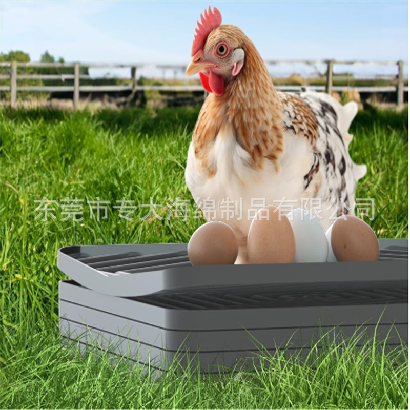 鸡窝垫下蛋鸡鸭鹅舍用品 易清洗鸡舍垫 防滑eva冷热压定型泡棉垫