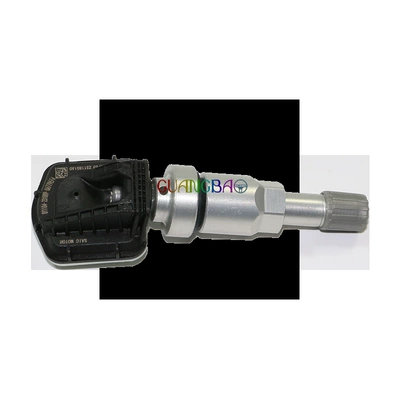 Suitable for Roewe, Tire pressure monitoring system