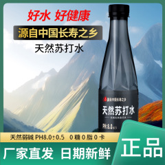 本物の天然ソーダ水 箱ごと卸売 24本/12本 無糖・無脂肪飲料 無添加 弱アルカリ性
