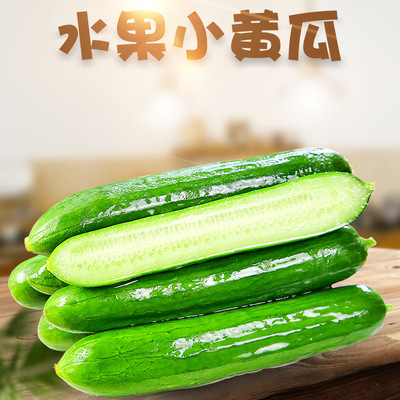 山东水果黄瓜代发3/5斤应季脆甜鲜嫩小黄瓜无刺生吃新鲜当季蔬菜|ru