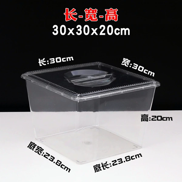 ☆✷Length 30cm Width 30cm Height 20cm Transparent with cover☆✷
