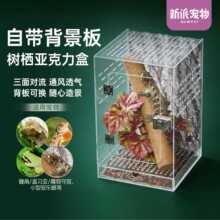 新派宠物透明亚克力树栖爬宠饲养盒树蛙蜘蛛甲虫蜥蜴睫角守宫爬箱