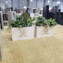 ���⻨����[�̘I�ֿ����^�Fˇ�����L���θ������ڻ����ۘǲ�����