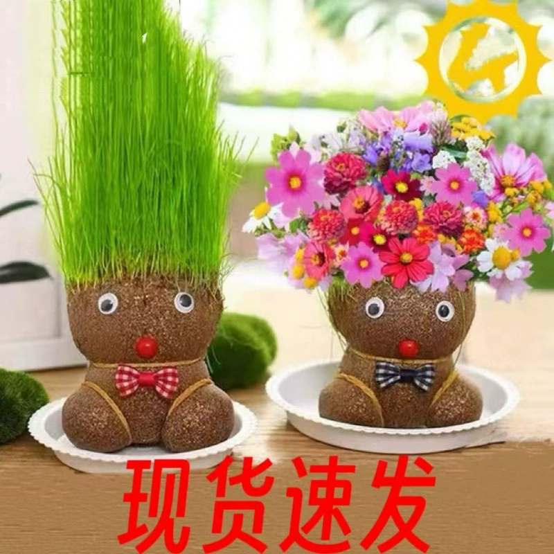 Doll head for kindergarten for growing plants