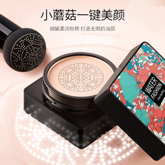 A spring water-like contouring air cushion BB cream contouring and concealing mushroom head air cushion BB cream foundation manufacturer wholesale