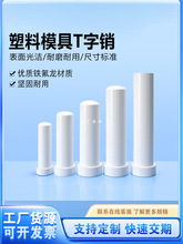 ����T���N����NLB�������N �F��������N�ģ����������N