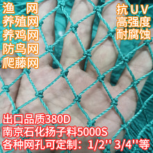 渔网鸡网捕鱼网围边网护栏网尼龙网防鸟网天顶网爬藤网渔网