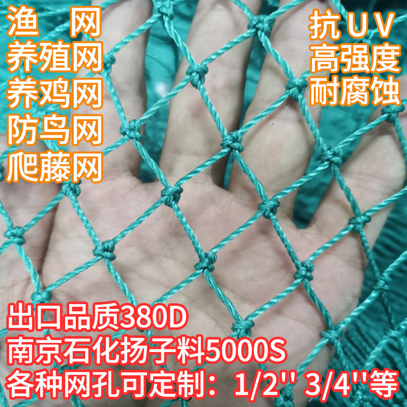渔网鸡网捕鱼网围边网护栏网尼龙网防鸟网天顶网爬藤网渔网