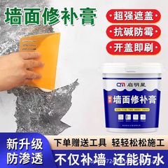 特別な壁修理ペースト白い大きなバレル壁修理ペースト家庭用内壁防水防湿パテペーストスクレーパーホワイト卸売
