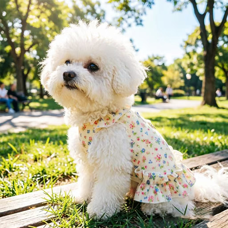 Primavera y verano transfronterizos nuevos bordes de hongo falda de flores de cinturón ropa de perro y gato delgada ropa de perros transpirables mascotas