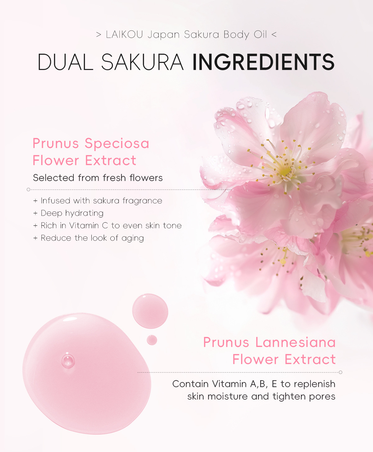 Cross-border Laikou Cherry Blossom Body Essential Oil 50g Moisturizing Essential Oil Hydrating and hydrating Manufacturer in stock, one-piece consignment, English undefined