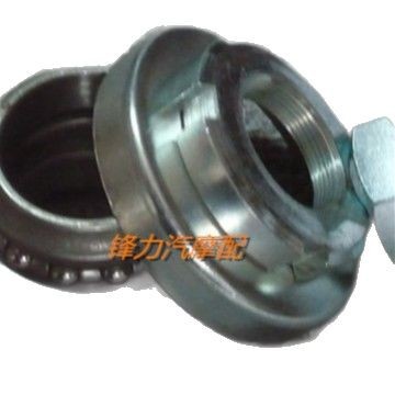 Pedal, bearing, sheep