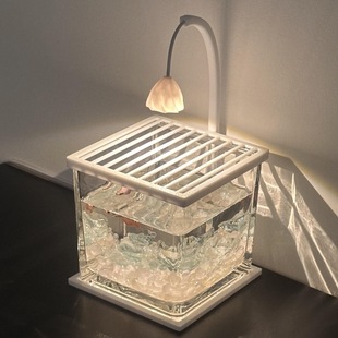 Fish Tank Landscaping Small Living Room Office Workstation Decorative Ornaments Glass Tank Ecological Tank Night Light Betta Fish Just One