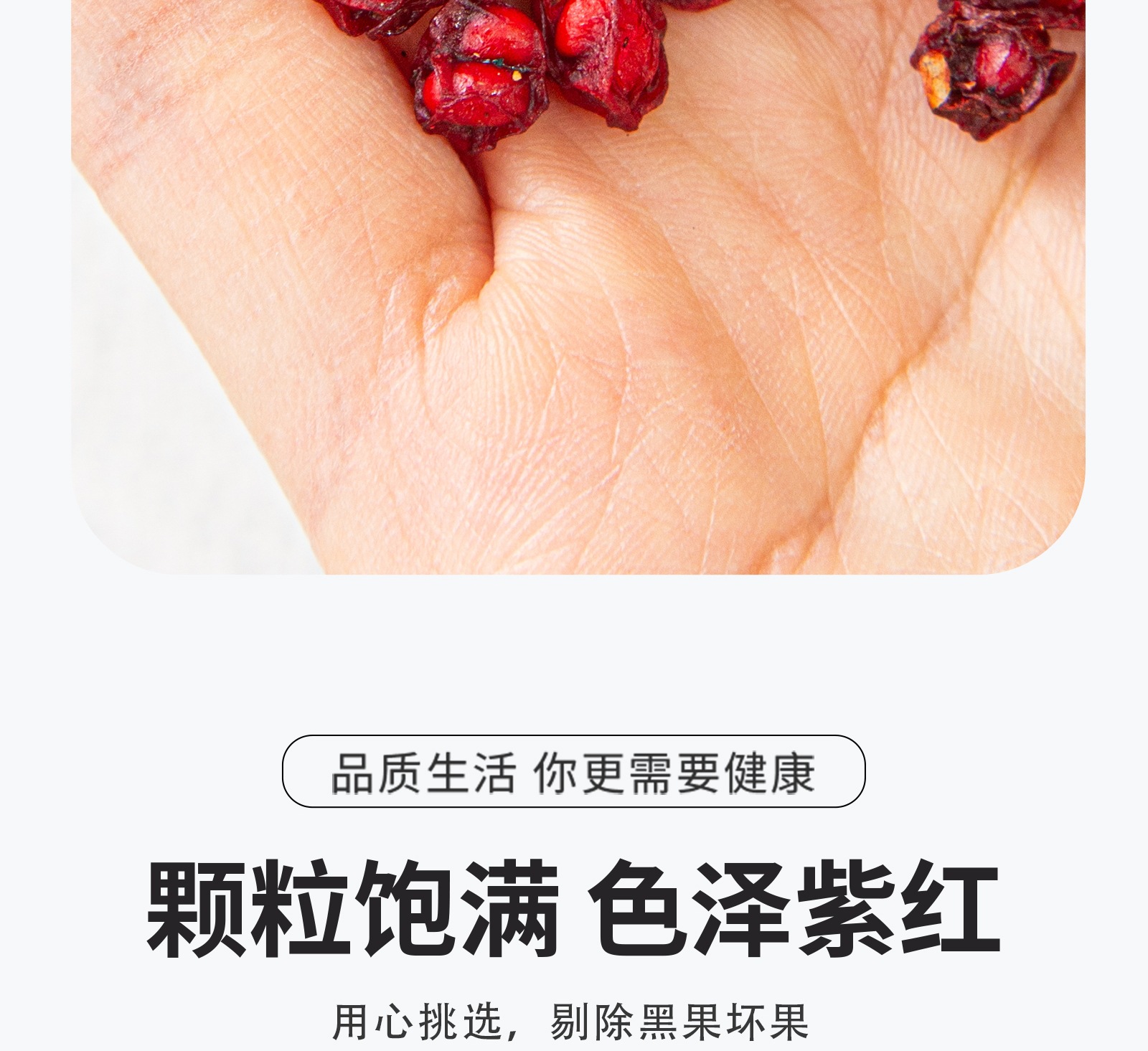 Premium Changbai Mountain Schisandra Berries Wu Wei Zi Dried Whole Fruit 500g quality and texture