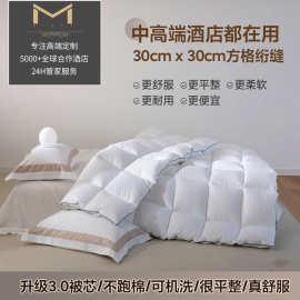 全棉白色宾馆酒店民宿被子纯棉冬被芯整张可机洗羽丝棉四季被批发