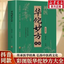 A٢ȫʈDtWPtșĻҊ