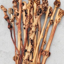 山茶木锤子 树瘤木锤敲打背部经络穴位健身锤 把玩木锤