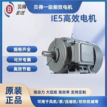 1TL8005ϵ�����δﱴ�õ��IE5һ����Ч������ѹ�����첽�綯��