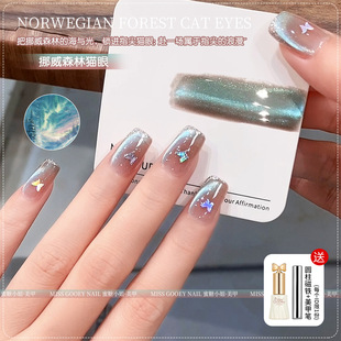 Ų��ɭ�־Gɫ؈��ָ�����z2026�¿�����ɫ����͸��؈�����׵���