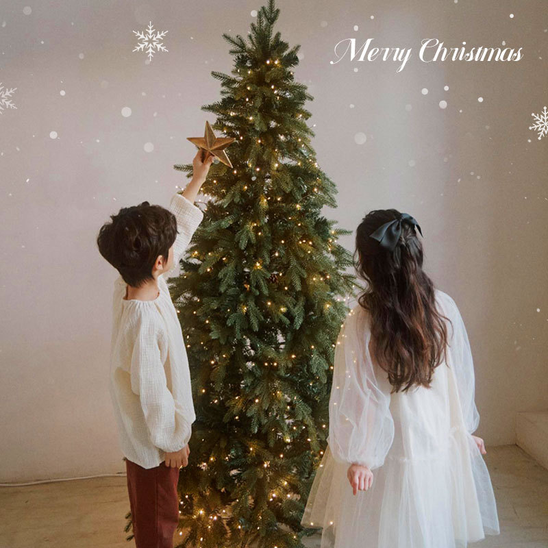 Árbol de Navidad 2024 nuevo estilo puro PE cifrado creativo grandes adornos estilo ins hogar AliExpress Amazon al por mayor