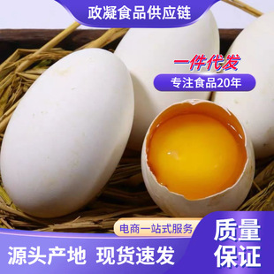 �V�|���r�Z�� ���l6/12ö���Z��ɢ�B���Z�������oʳɽ�|���Z��