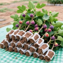 �o����������ش���������Բ����t�������ϱ����ļ��Nֲ�ͺ�����