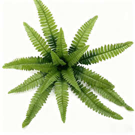 仿真绿植18头大蕨叶大波斯草绿化景观植物墙配材装饰人造花假树叶