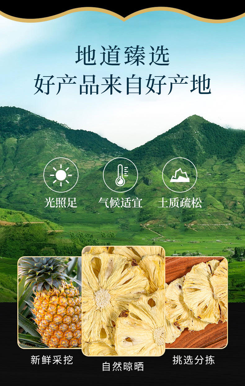 Freeze-Dried Pineapple Dices (Ananas comosus) — Food-Herb Fruit Snack & Culinary Ingredient overview