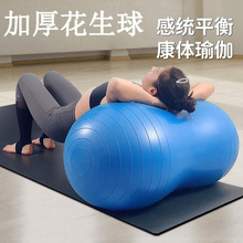 �S�����l�Ӻ���滨�������Ħ�٤�� ��Ħ����Ӗ�������� ����