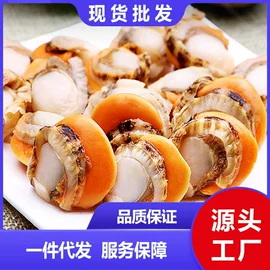 海参;鱼类;贝类