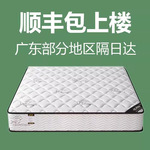 床垫软垫家加厚两用软床垫经济型20CM厚家用弹簧乳胶椰棕租房