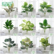 �~��С��ֲ��٘��~��������������˽��҃Ⱦ��^�bGֲ�쾰