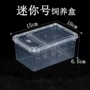 掌上迷你饲养盒
