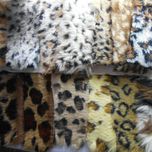 ������ëƤ����ë�q�� �������m�����q �º���ë�Ҽ�Ƥ��Ьñ����