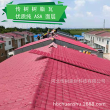 �Č�asa�ϳɘ�֬��������������ϸ���¹Ř�֬�ߏS�������Ƭ