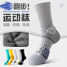�\���m����ʿ�����LͲ����ë����׌��I�R���ɑ����ܲ��п�@���m