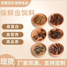 批发保鲜大麦虫黄粉虫蜈蚣蟋蟀蟑螂鱼鸟龟宠物料营养昆虫保鲜饲料