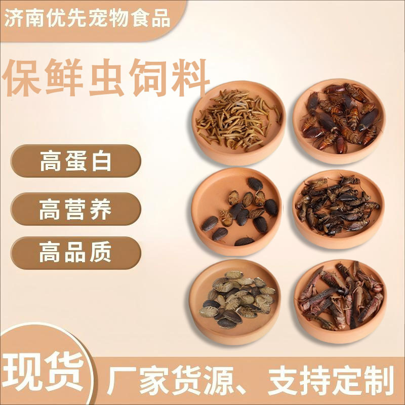 批发保鲜大麦虫黄粉虫蜈蚣蟋蟀蟑螂鱼鸟龟宠物料营养昆虫保鲜饲料