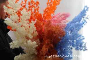 [Eternal Flower Fluffy] Eternal Fluffy Dried Flowers Christmas Pine Vase Flower with Beautiful Flower Art