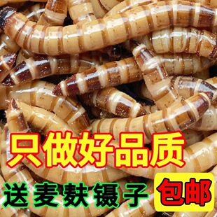 �����x���w�x���x���x�S���x�����~�˸箋ü�����}���B��~������