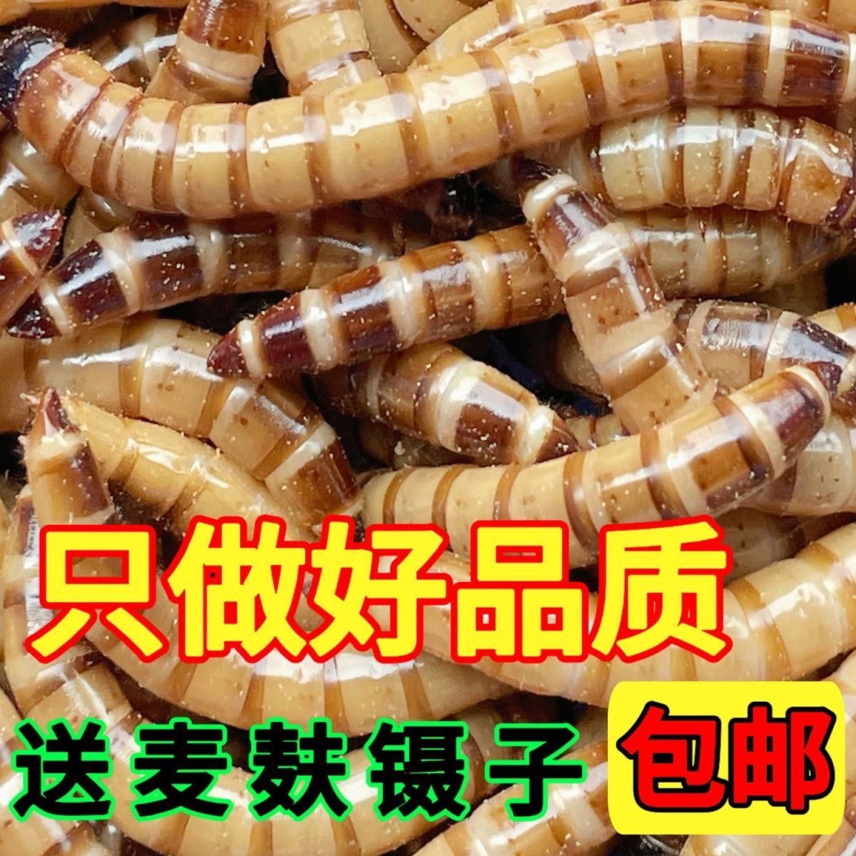 大麦虫活体虫面虫包虫黄粉虫金龙鱼八哥画眉乌龟仓鼠鸟钓鱼宠物料