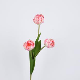 ���滨�����㱱�W�����Ҿ�ܛ�b�c�[�������廨��ˇ��ˮ�ɼٻ�