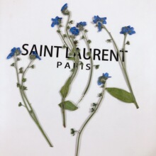 勿忘我干花植物标本教学美甲脸部装饰押花相框台灯滴胶手机壳材料