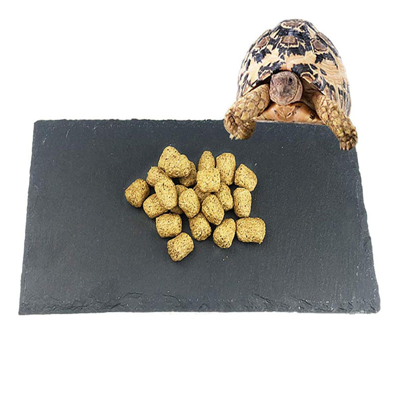 Reptiles terraza de descanso tortuga molino de uñas pizarra pizarra pet board decoración de acuario paisaje