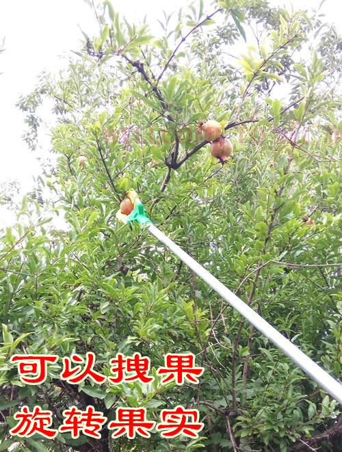 TB28CiUdAonyKJjSZFtXXXNaVXa_!!