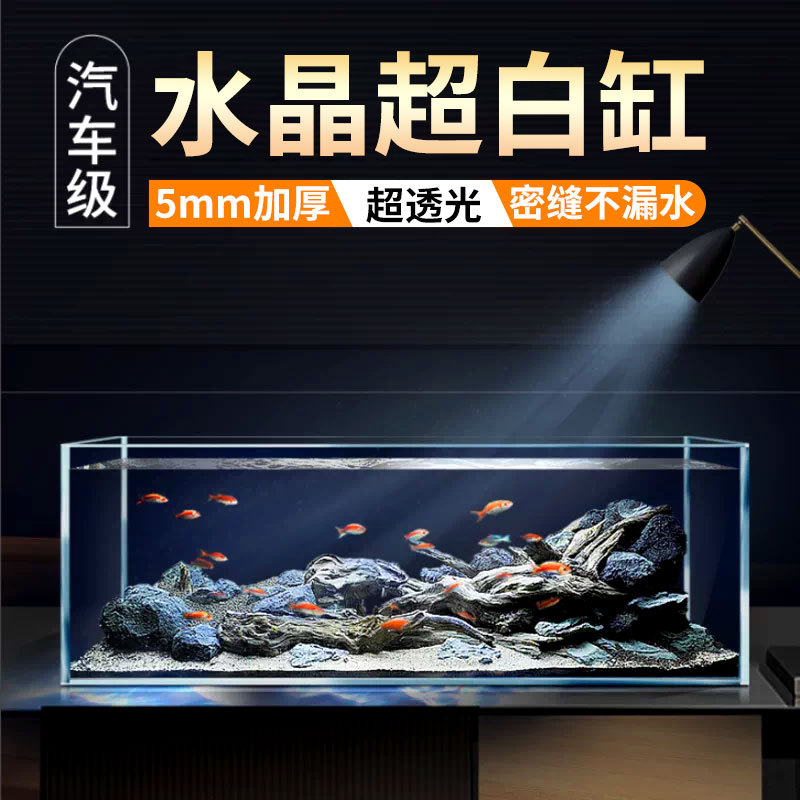 glass square aquarium