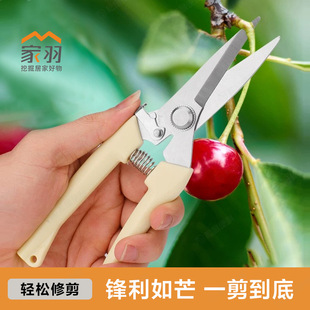䓴�֦��ʡ����֦�����@ˇ�޻�ľ����޽ӈ@�ּ����ܹ���