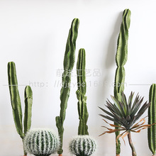 ����������PU�ָ���݆�������ƟᎧɳ��ֲ��W�t���bپGֲ